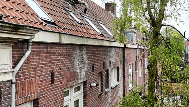 Gevel detail inspectie
